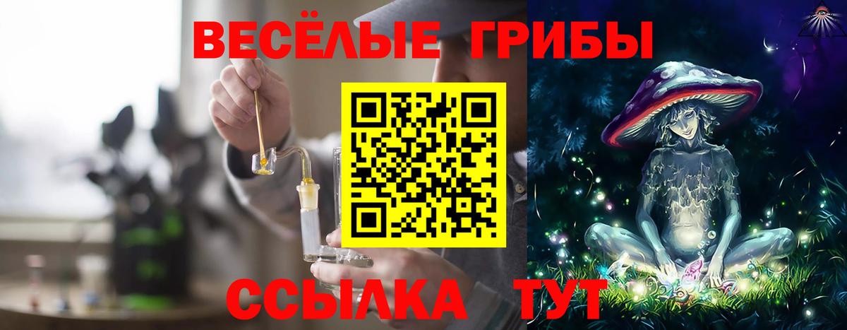 Наро-Фоминск  Псилоцибиновые грибы GOLDEN TEACHER  Вход с VPN 